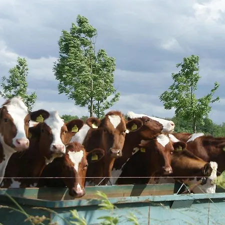 Vakantieboerderij De Elsbeemden
