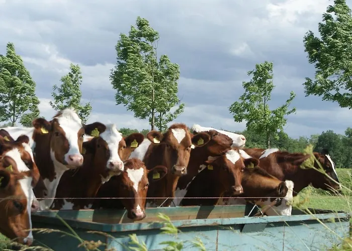 Vakantieboerderij De Elsbeemden